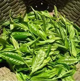 青岛西海岸30多项特产！这鱼还登上央视成了网红