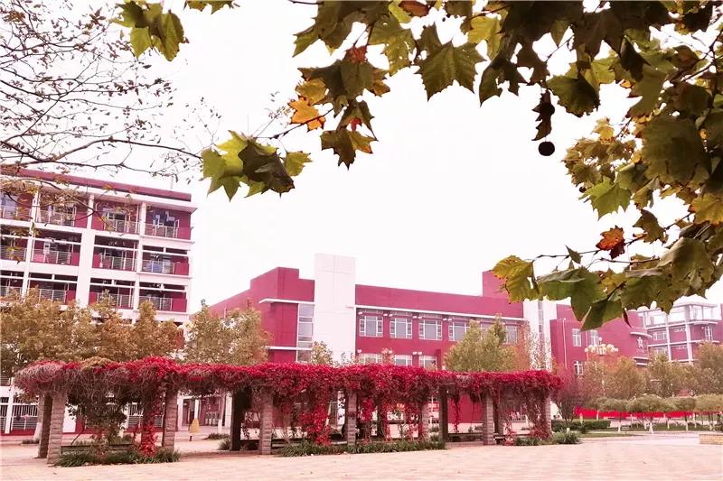 天津医科大学七所直属医院,天津医科大学独立学院是几本