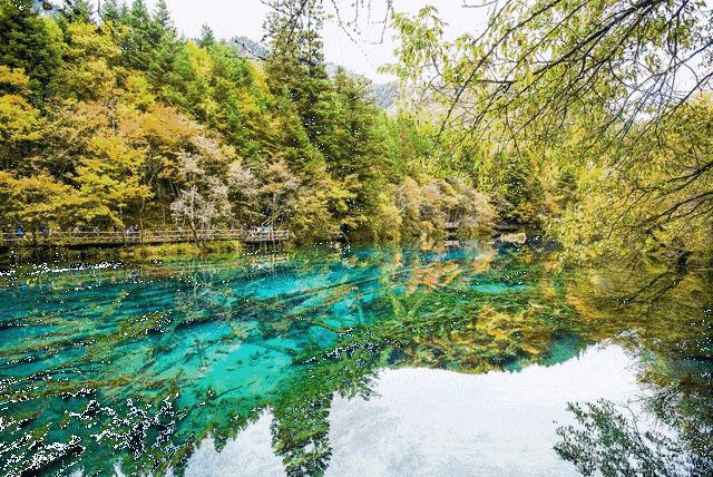 九寨沟景色恢复了吗,九寨沟震后重生