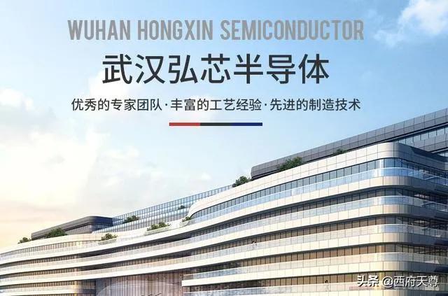 泉芯目前状况怎么样,泉芯现状