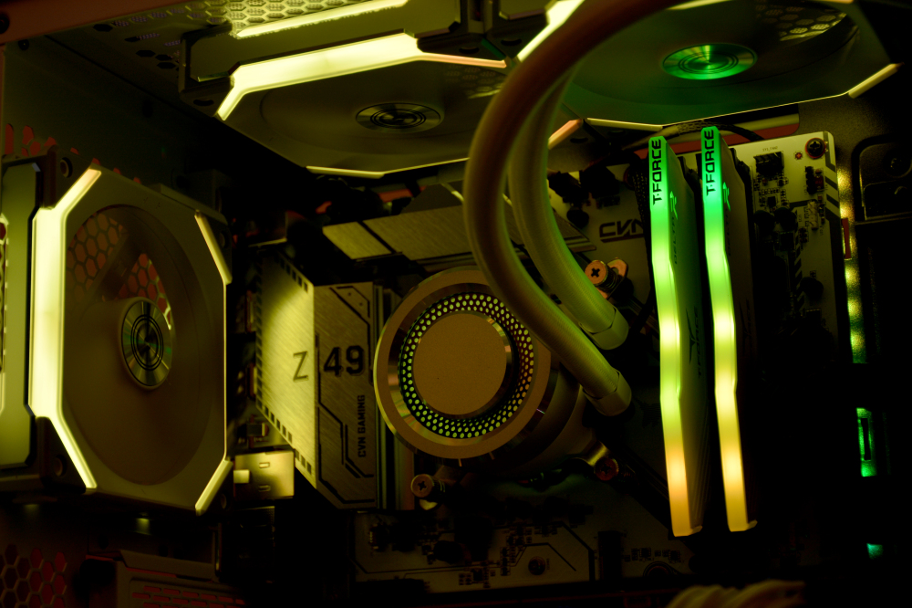 黑色星期五变装,黑色星期五变装hd版