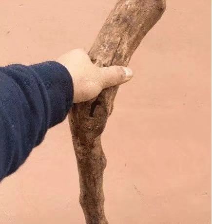 怎样分辨黄花梨和紫檀,怎么辨别海南黄花梨和缅甸黄花梨