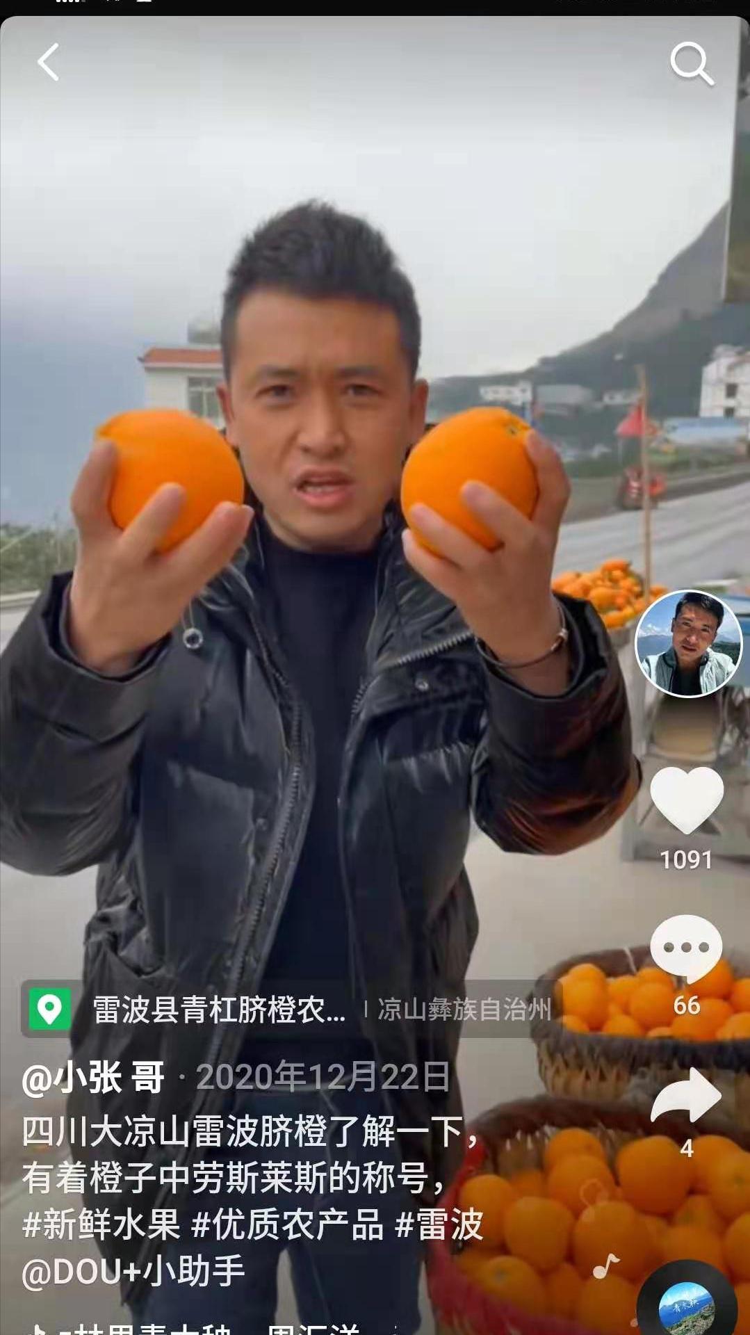 张凡、马支巧、盛龙霞3名主播将在凉山年货节主会场直播带货