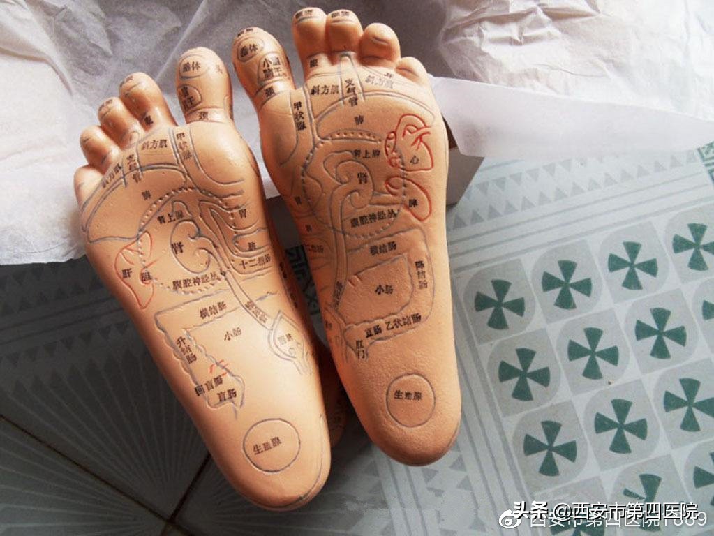 康复理疗师视频教程全集中文,康复理疗师手法培训视频