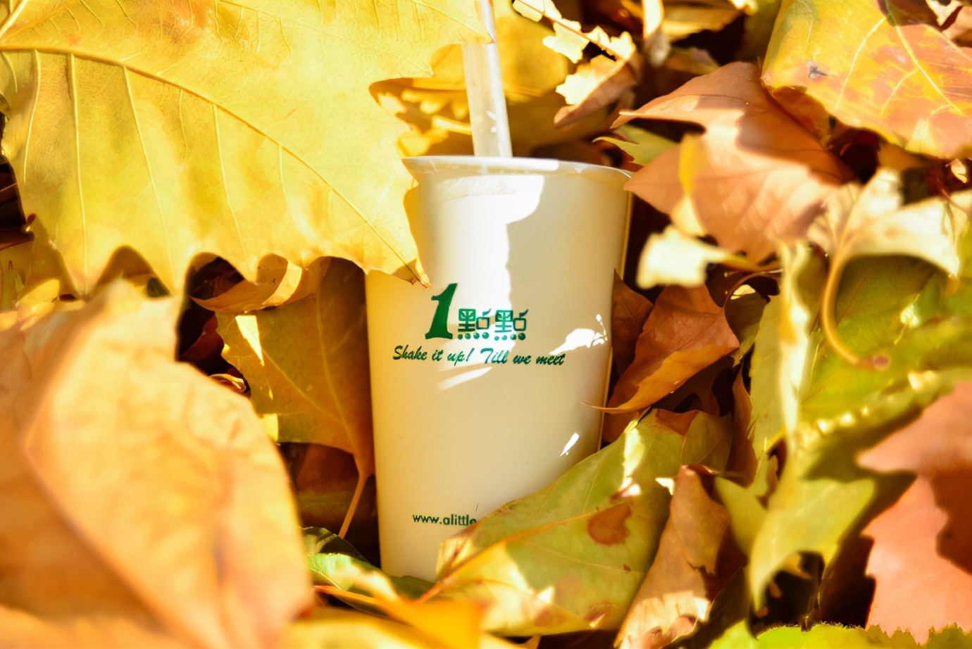 开一点点奶茶加盟要多少钱,一点点奶茶加盟费用明细表