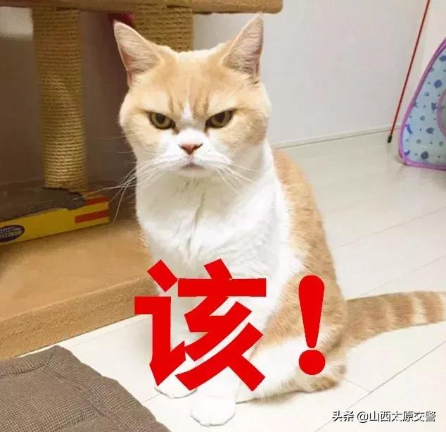 百日行动交通安全,百日安全行动的原因