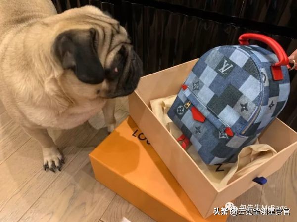 超好看的宠物包,好看又大的宠物包