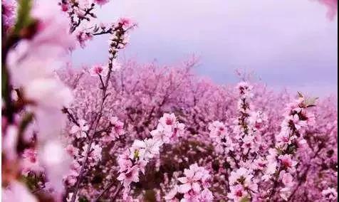 疫情又爆发小学是否停课,关于疫情小学一年级停课不停学