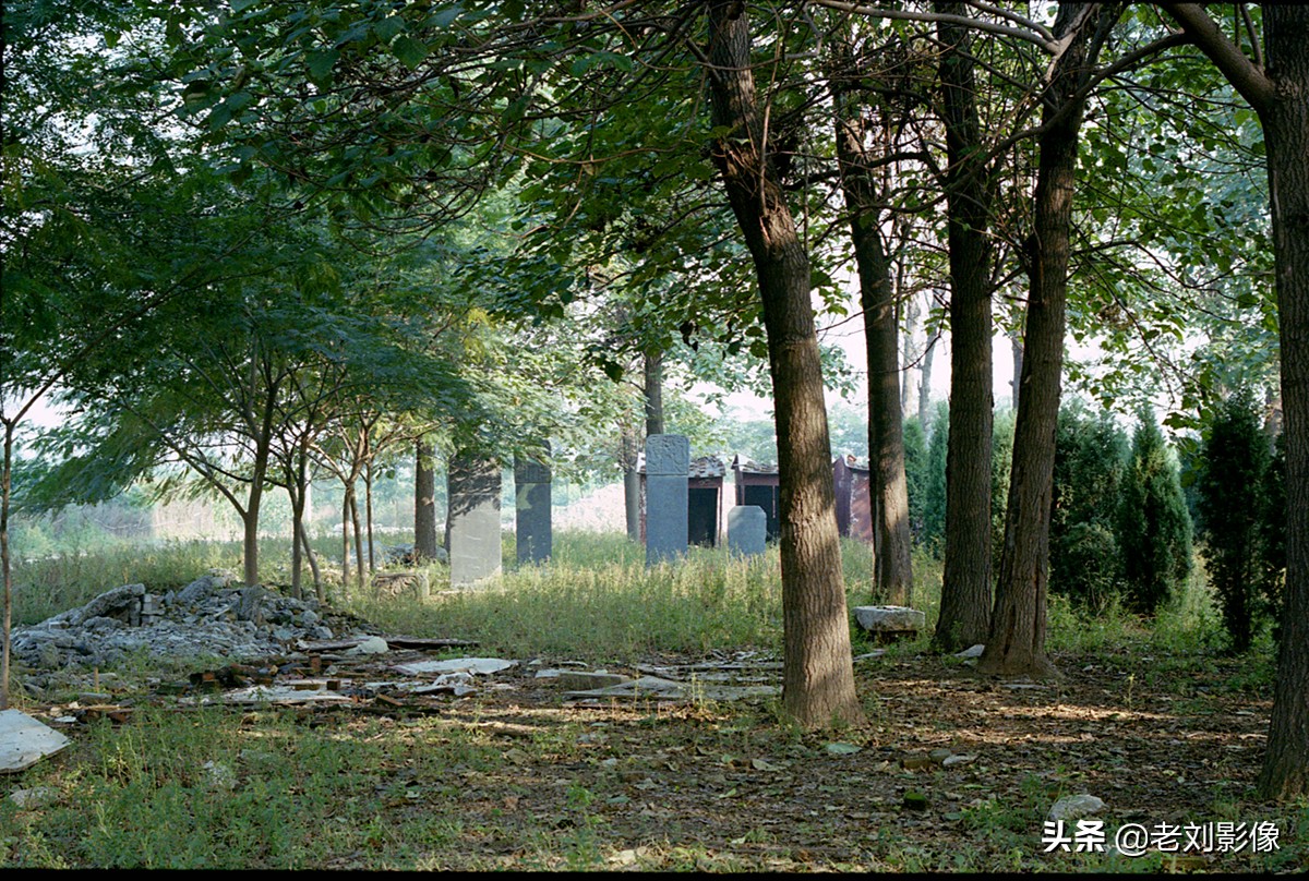 保定一亩泉泉眼在哪里,保定一亩泉消失的秘密