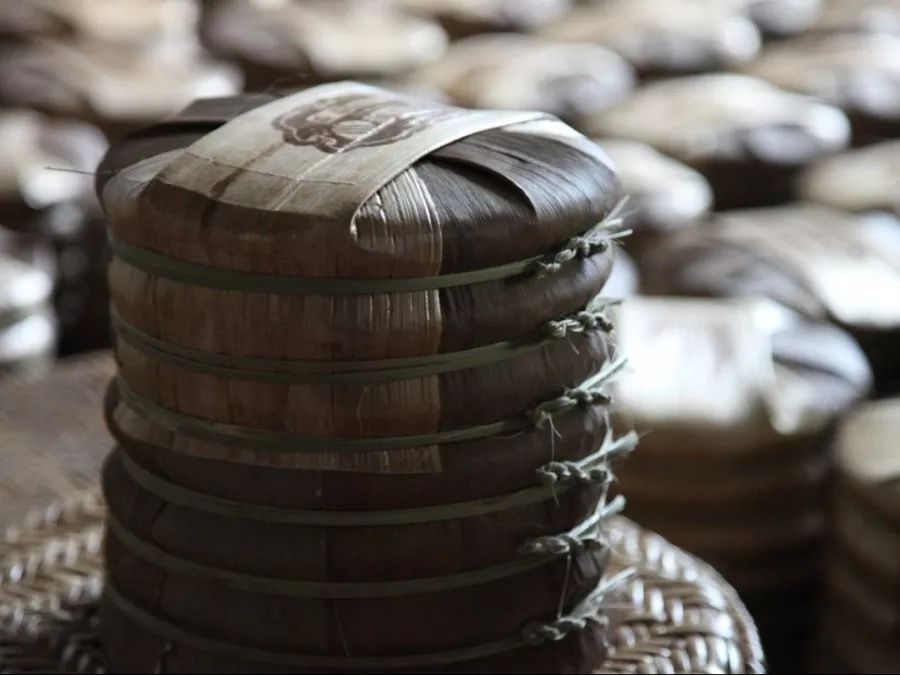 茶｜什么是紧压茶？压成大饼会更好喝吗？