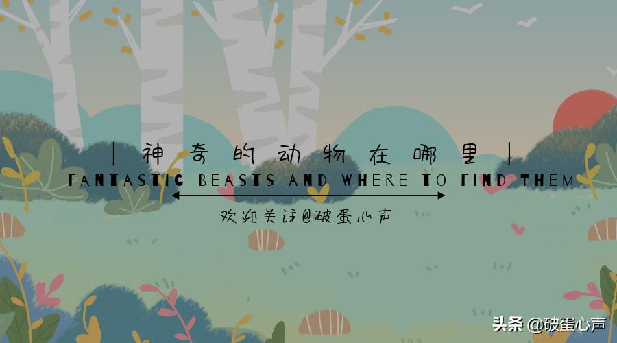 信鸽使命必达视频,使命必达怎么做