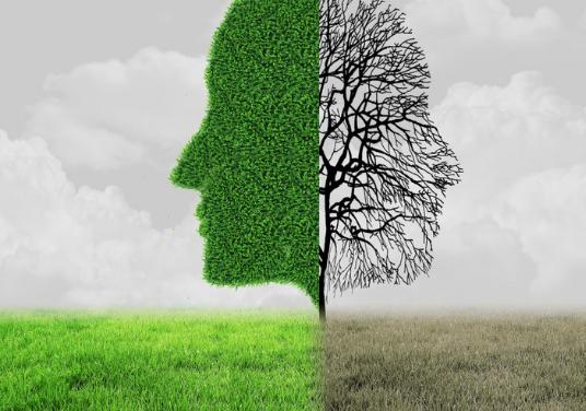 健康管理师证书享受国家补贴,健康管理师职业技能证书补贴