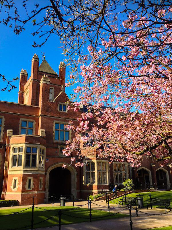 “天马行空”的英国专业！留学除了商科你还有这些选择