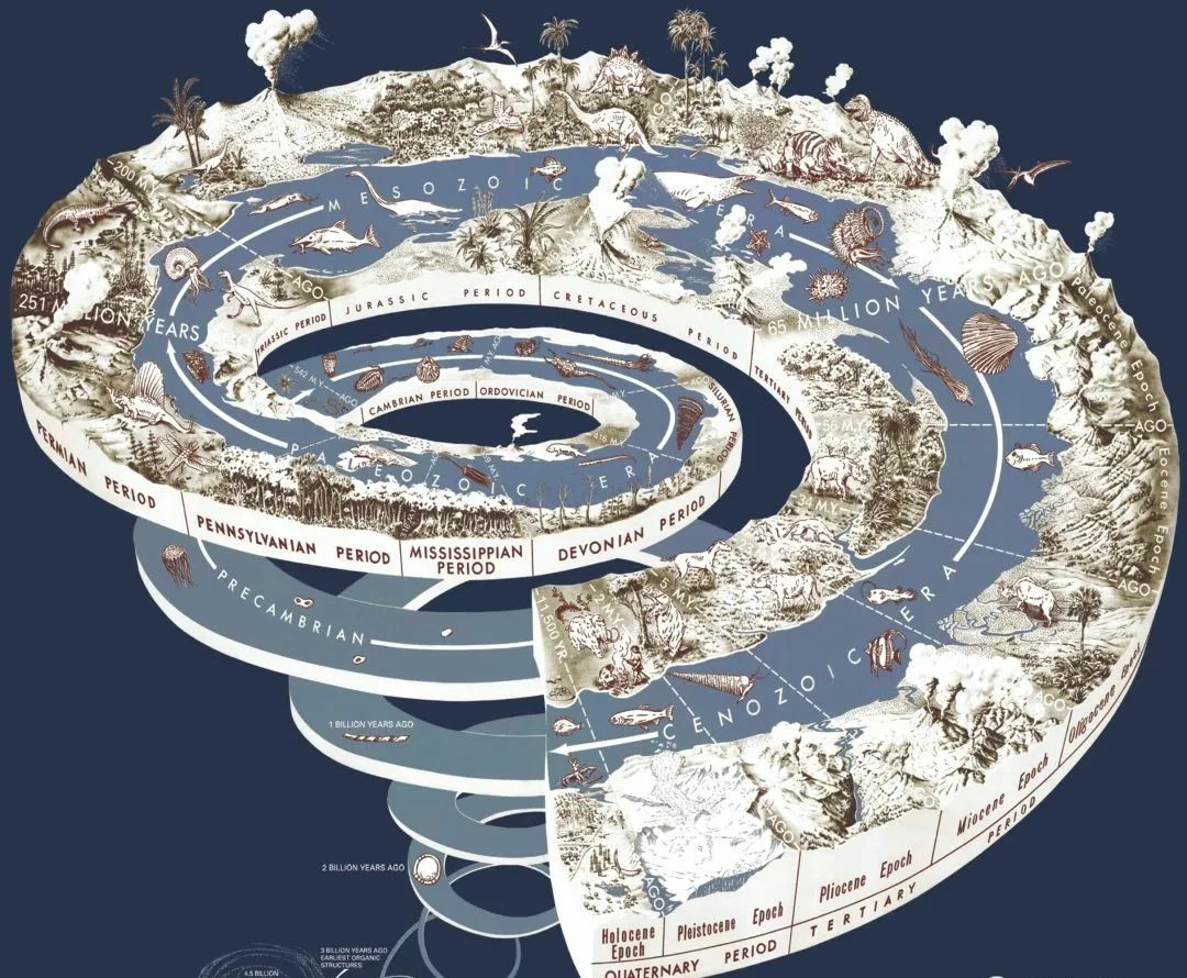 地球走向何处,地球南北极通往何处视频