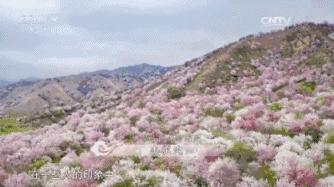 一封手写辞职信火了300万网友点赞,又一封辞职信刷爆朋友圈