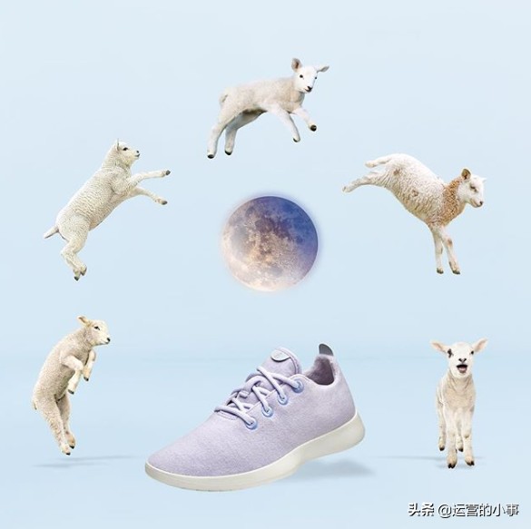 allbirds是什么牌子中文怎么叫,allbirds中文名字叫什么