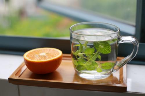 盆栽薄荷种植方法图解视频,薄荷盆栽怎么做好吃