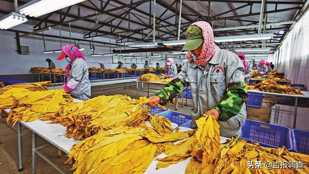 有图有真相的攻略,有图有真相逆战