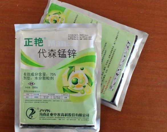 月季的霜霉病和灰霉病的区别,月季霜霉病的治疗方法视频