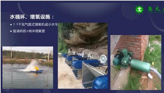 养鱼怎么增加存活率,科学养鱼的正确方法和思路