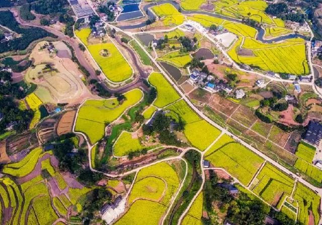 探秘！江小白的农业之梦（附2个战略布局）