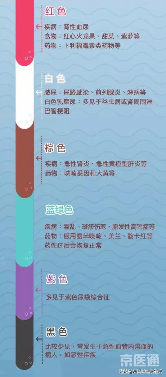 肾内科医生掌握的化验数据,肾内科指标解读