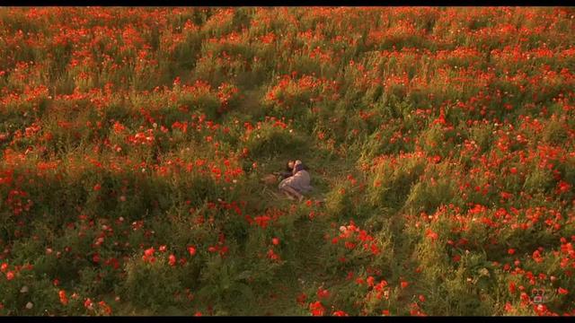 三浦春马电影经典作品,台湾三浦春马新电影