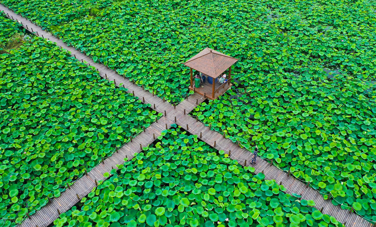 宿迁宿豫区2024年规划,宿迁宿豫新消息