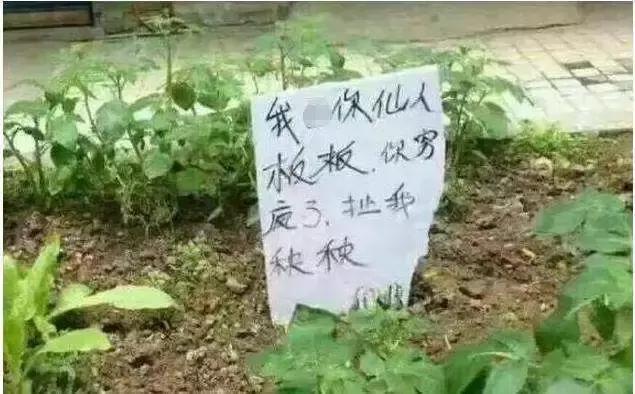 承认吧,全世界都爱说四川话