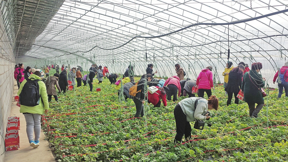 济南今年要建105个乡村振兴样板村,山东乡村特色产业10亿元村名单