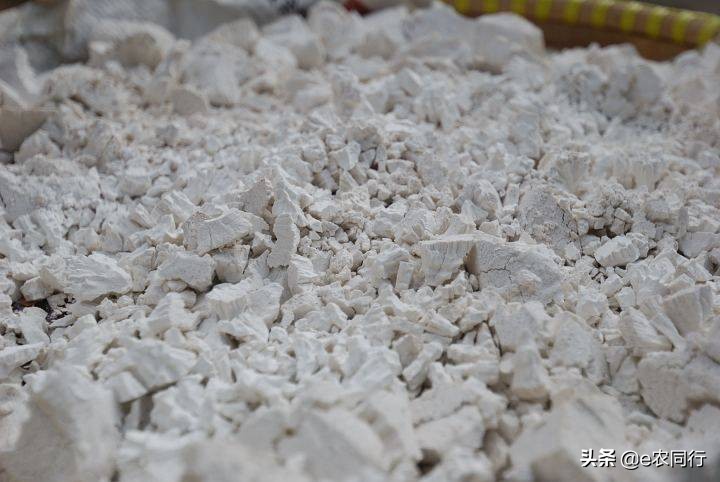 做菜时没有淀粉可以用什么代替,你知道哪些做饭小技巧