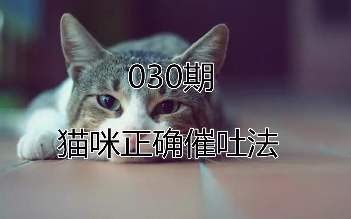 猫咪误食异物怎么处理,猫咪误食硬物怎么办