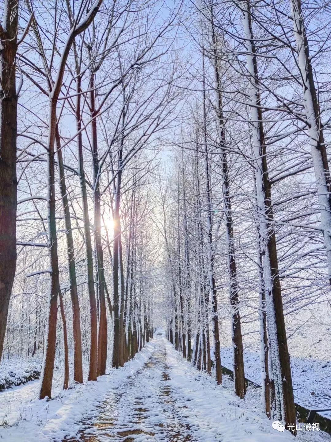 替你“打卡”!疫情中的光山雪景