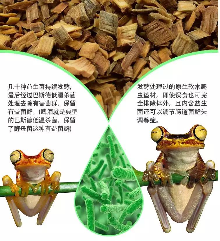 如何让观赏蛇类在人工环境下住得幸福