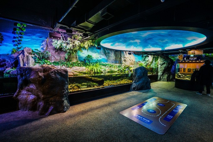 新手怎么逛免税店攻略,50家免税店最划算攻略在此