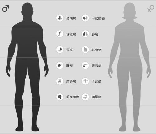 肿瘤细胞一般是怎么样的,肿瘤细胞在血液里可以查出来吗