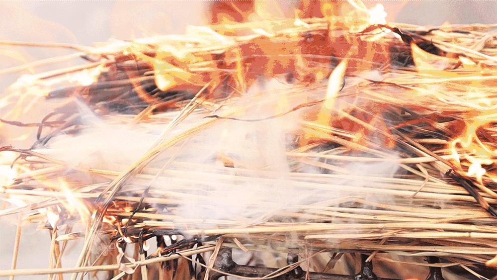 南海有家,南海食鹅哪家好