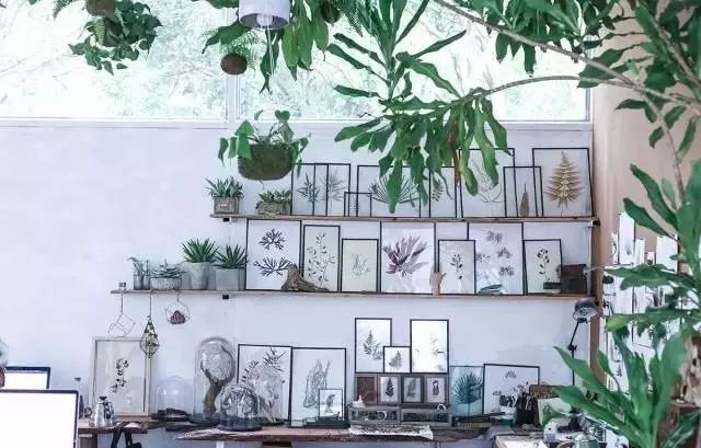 深山老林自建豪华木屋隐居生活,90后小情侣隐居深山建别墅仅花6万