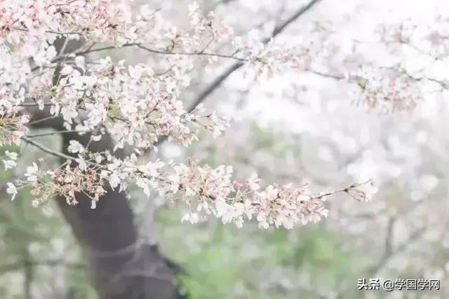 听书荡气回肠的诗词,十首堪称神转折的经典诗词