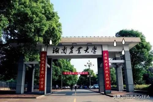 湖南农业大学茶学专业怎么样,广西有哪些高校开设茶学