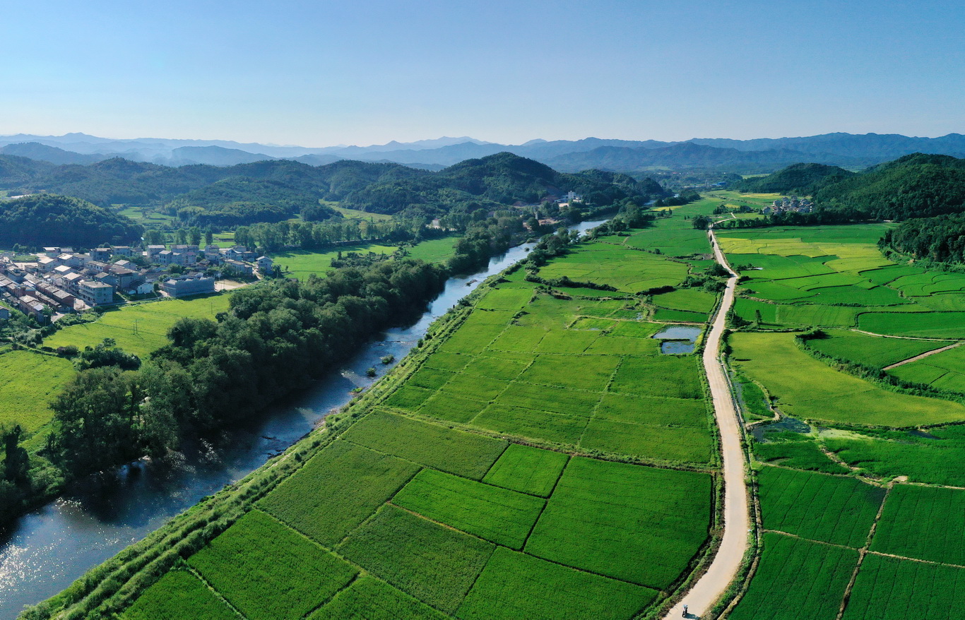 江西省山清水秀自然美景好地方,金溪镇山清水秀好风景
