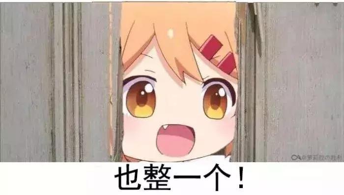 预算50元可以买什么好玩的,50元以下适合学生党买的蜥蜴