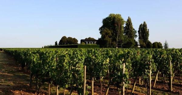 世界顶级十大红酒排行榜,法国顶级红酒十大品牌