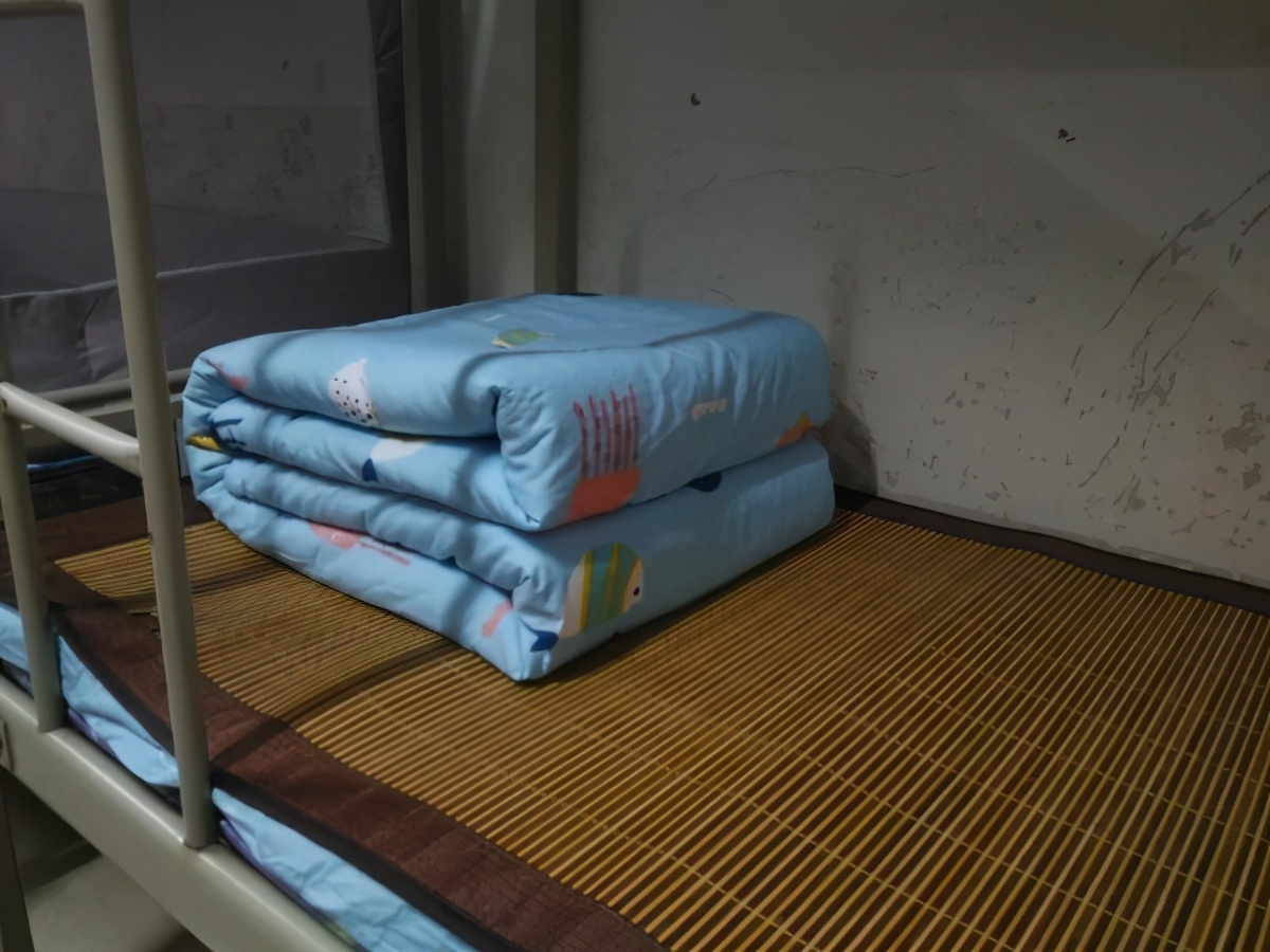 沙坪坝最好的中学校,沙坪坝区初中学校排名