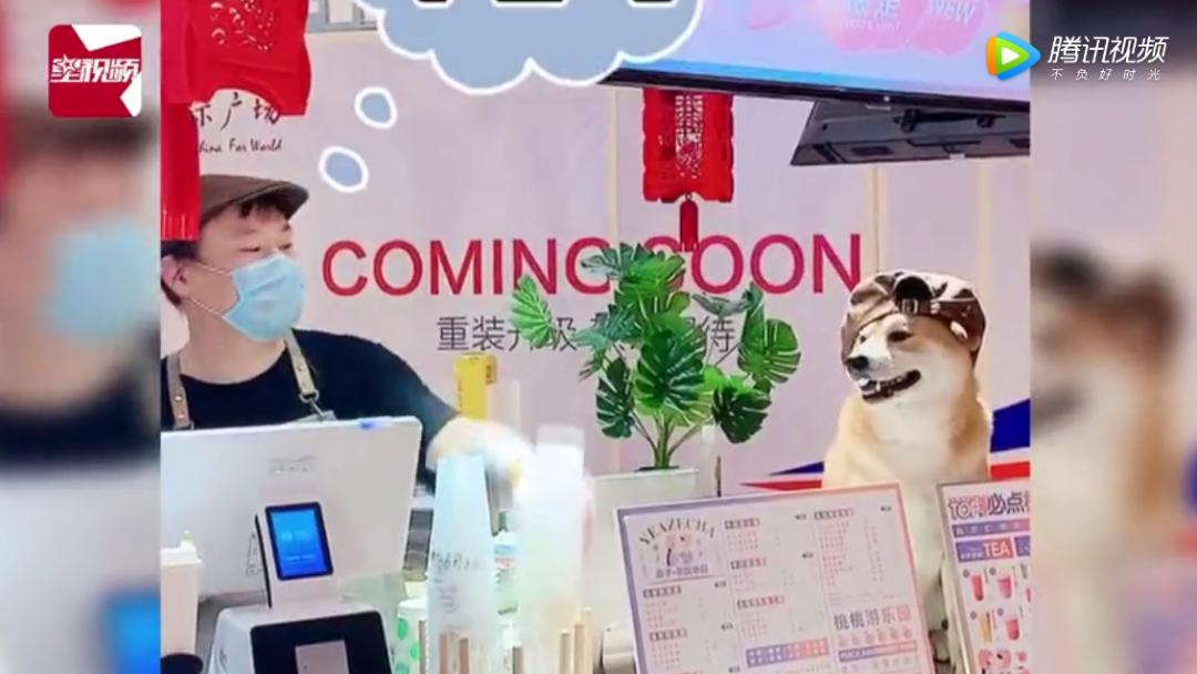 奶茶店请的员工多能挣钱吗,奶茶店请人经营赚钱吗