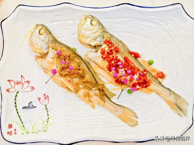 别再说“草鱼肚裆，青鱼尾”，我们将看一眼都没有了机会