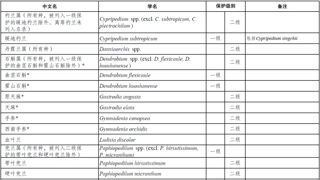 天价交易下历尽劫难的野生兰花，终于有了“护身符”