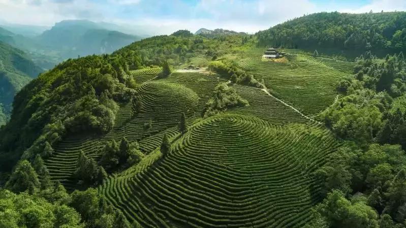 山高水长峡谷之巅,山高水长乌江寨