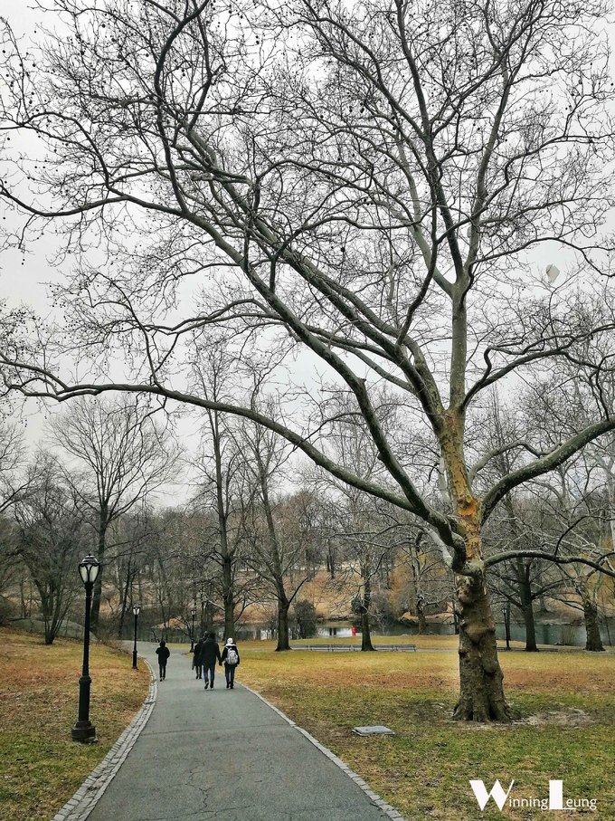 现实版未来之城纽约中央公园,纽约中央公园和北京奥体森林公园