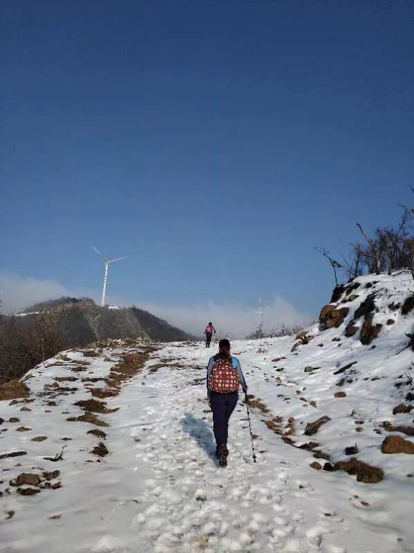 手拍世界,手拍世界近期作品